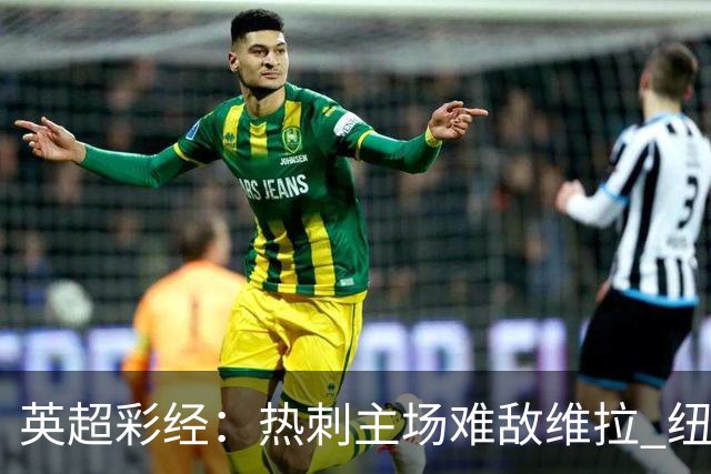 英超彩经：热刺主场难敌维拉 纽卡斯尔全取三分